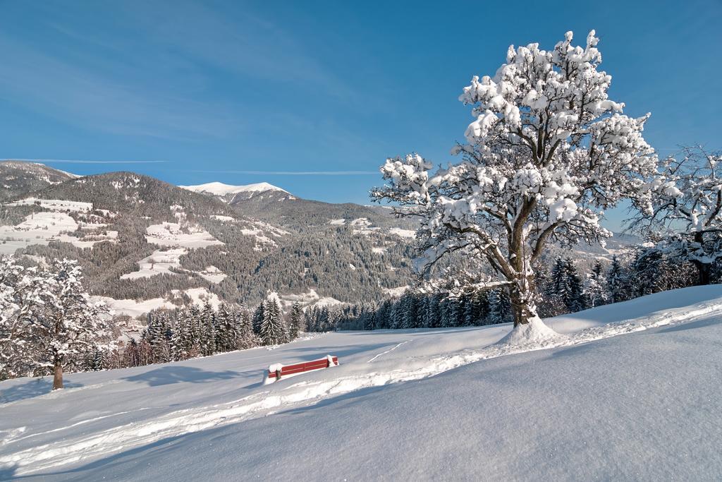 Naturoase Appartements Mirnock Afritz Bagian luar foto