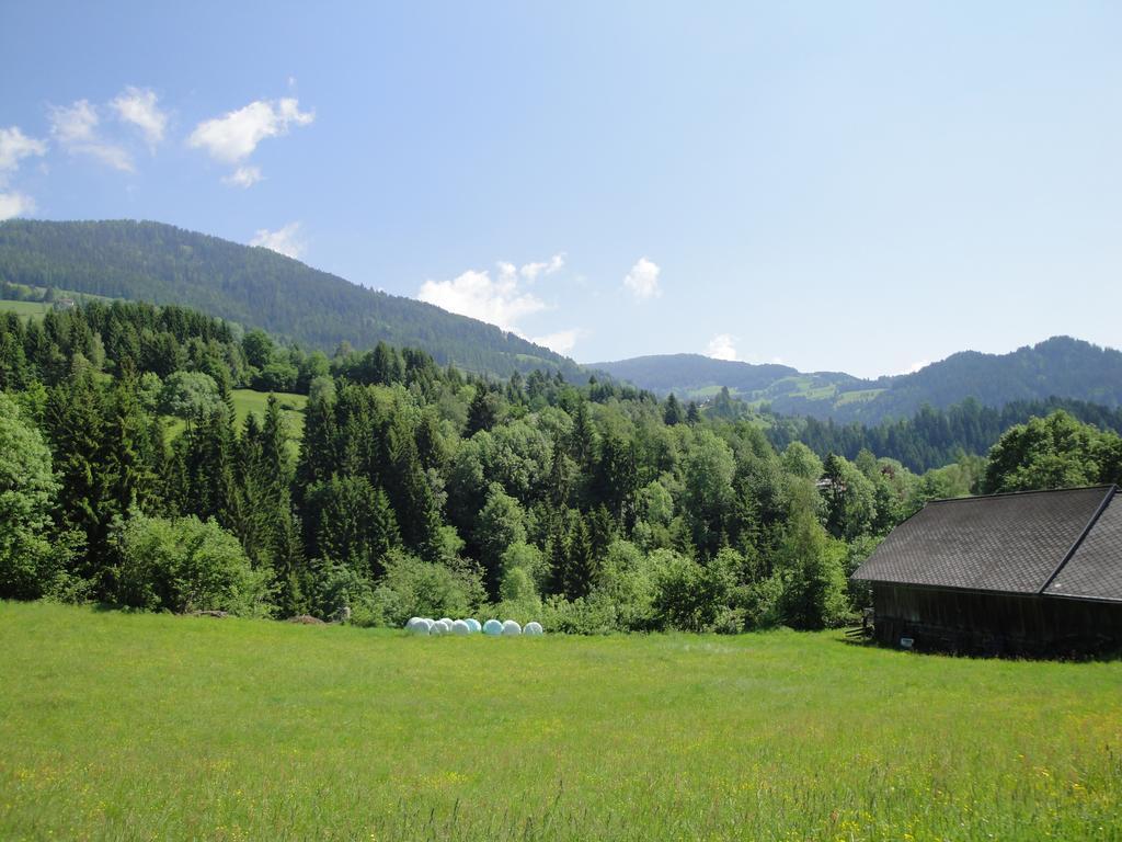 Naturoase Appartements Mirnock Afritz Bagian luar foto